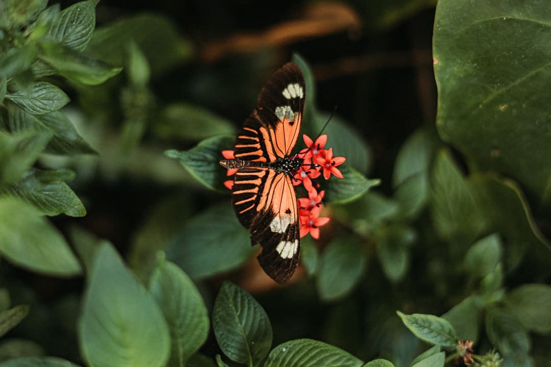 更多医疗机构将完善无障碍环境建设